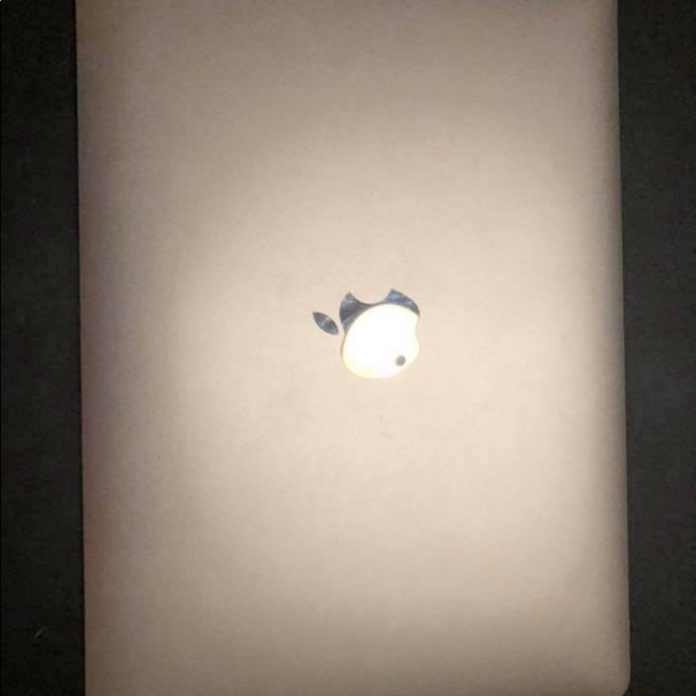 Older style MacBook. Used. Works when plugged in.